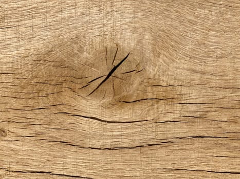 Knothole a hole created by a branch falling out of a wooden board. knothole a hole caused by a branch falling out of a wooden board.