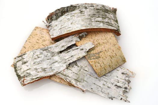 Birch tree,birch Betula,is a native tree that is also used medicinally as a medicinal plant. Birch tree,birch betula,is a native tree that is also used medicinally as a medicinal plant.