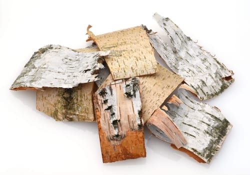 Birch tree,birch Betula,is a native tree that is also used medicinally as a medicinal plant. Birch tree,birch betula,is a native tree that is also used medicinally as a medicinal plant.