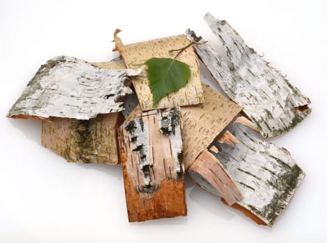 Birch tree,birch Betula,is a native tree that is also used medicinally as a medicinal plant. Birch tree,birch betula,is a native tree that is also used medicinally as a medicinal plant.