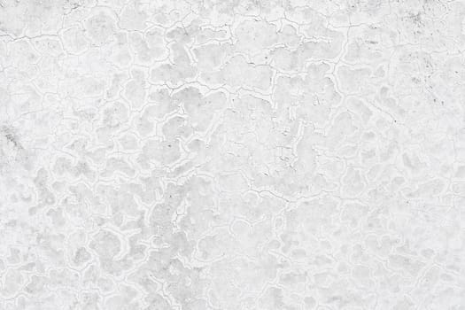 Grunge white background cement old texture wall