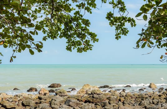 Rock shore seascape with green leaf in Thailand