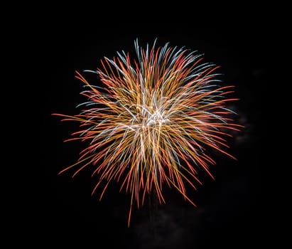 Colorful fireworks exploding in the night sky