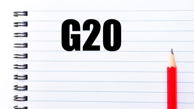 White blank  notebook page with red pencil on the right, with copy space available