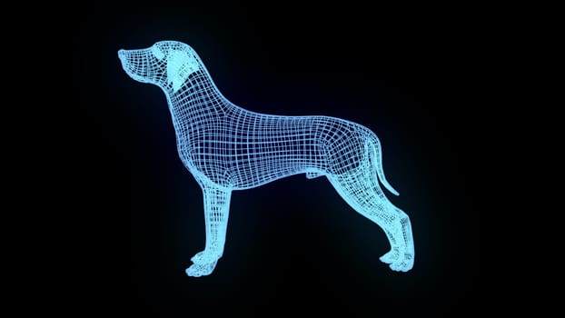 Dog wireframe. Computer generated 3d render
