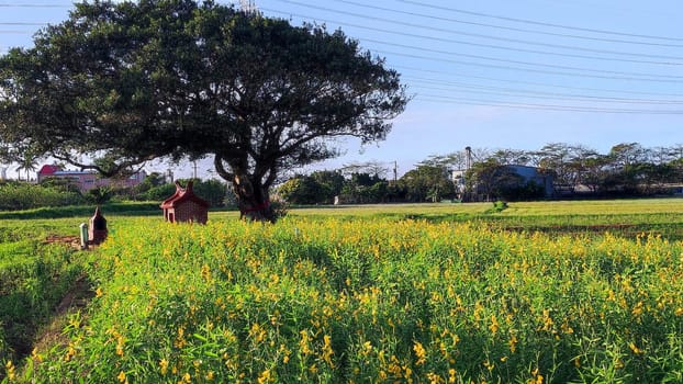 The Sunny view of the traditional Tak Chi temple in Taoyuan, Avalokitesvara