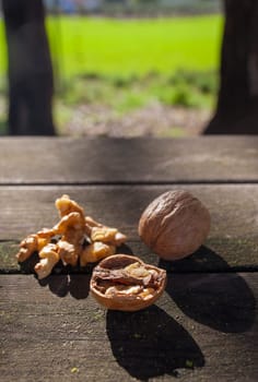 Walnuts over wooden picnic table. Natural light shot