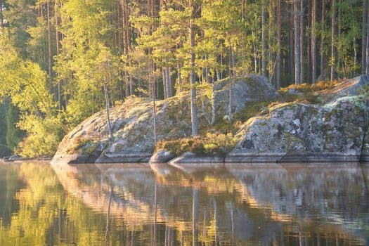 Stone rocks with conifers by the lake in Sweden in Smalland. Wild nature in Scandinavia. Landscape photo from the north