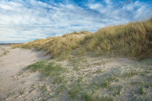 Beach crossing in Denmark by the sea. Dunes, sand water and clouds on the coast. Trip to the Baltic Sea. Vacation on the beach. Scandinavia landscape