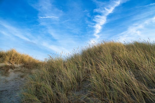 Beach crossing in Denmark by the sea. Dunes, sand water and clouds on the coast. Trip to the Baltic Sea. Vacation on the beach. Scandinavia landscape