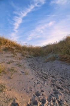 Beach crossing in Denmark by the sea. Dunes, sand water and clouds on the coast. Trip to the Baltic Sea. Vacation on the beach. Scandinavia landscape