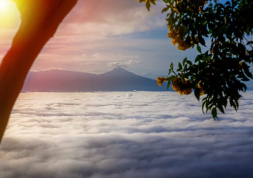 View of landscape nature and mist and mountain with sunlight and sunset or sunrise in morning light
