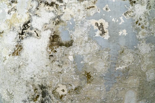 Cement wall white background or concrete texture.