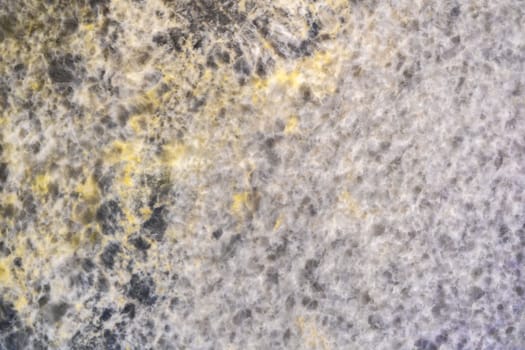 Cement wall white background or concrete texture.