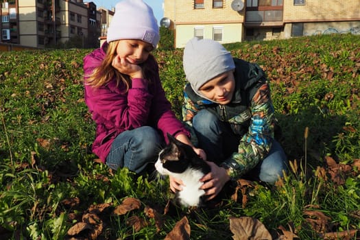 Children, a boy and a girl of white race, walk a black and white cat on the grassy lawn near the house. The cat is afraid of a new place and tries to get out of hand. Autumn sunny day