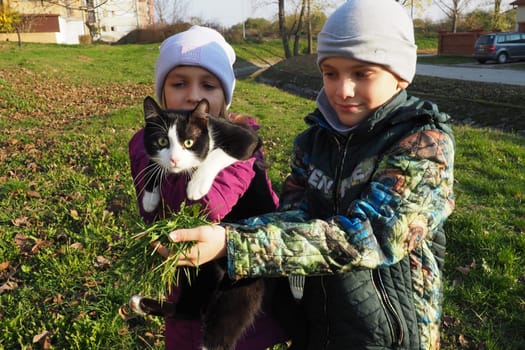 Children, a boy and a girl of white race, walk a black and white cat on the grassy lawn near the house. The cat is afraid of a new place and tries to get out of hand. Autumn sunny day