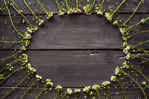 Shepherd's purse flowers arranged in a circle on a wooden background or old table. Small yellow inflorescences. copyspace. Free space in the center for text. Postcard or blank for an announcement.