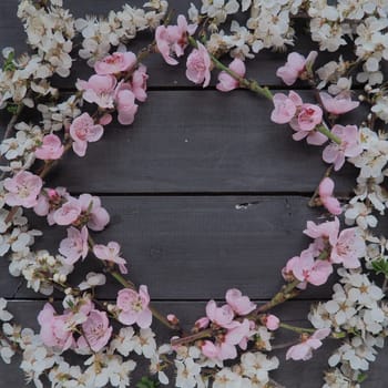 Pink flowers of apple tree or peach tree on wooden boards. Delicate inflorescences arranged in circle. Soft focus. Theme of spring, holiday, spa, beauty, home interior. Copy space flat lay. Still life