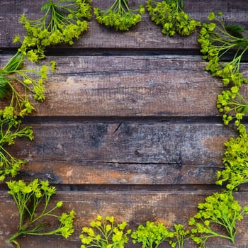 Background of dark horizontal wooden planks framed with green maple flowers. Twigs, leaves and flowers are laid out around copy space. Postcard or blank for design. Brown wood and green freshness.