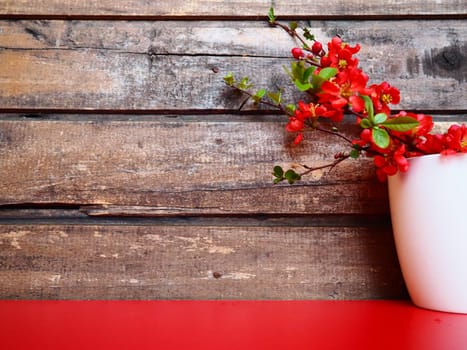 Still life with red flowers and crockery. Branches and scarlet flowers of chaenomeles in a white cup with a handle on a red table, against the background of wooden boards. Apartment kitchen design.