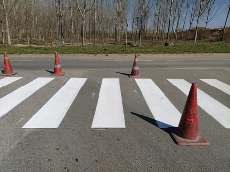Painting pedestrian crossings with new paint. Road warning plastic orange cone. White stripes on the pavement. The pedestrian crossing is marked with special road signs or markings.