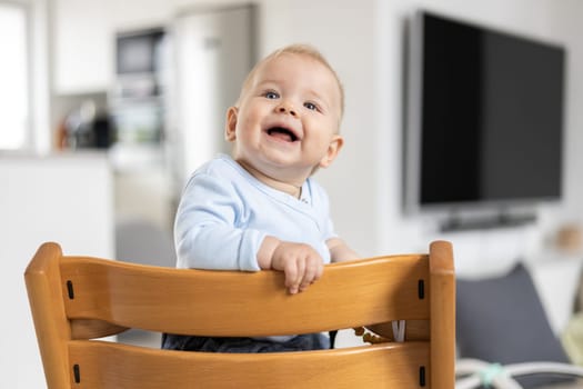 Happy infant sitting in traditional scandinavian designer wooden high chair and laughing out loud in modern bright home. Cute baby smile