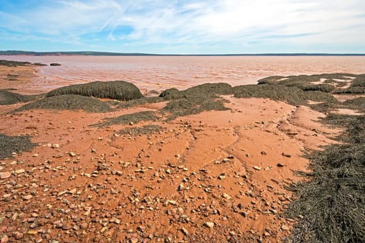 Red Water, Rocks, Mud, and Seaweed at Low Tide at The Rocks Provincial Park in New Brunswick