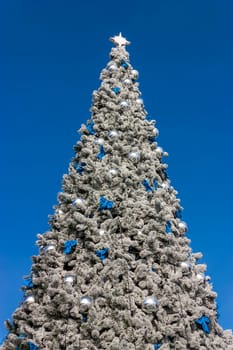 Christmas tree with blue sky.