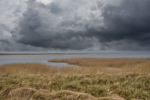 Bird lookout Pramort on the darss. wide landscape with dramatic clouds and view to bodden and the baltic sea. Landscape photograph