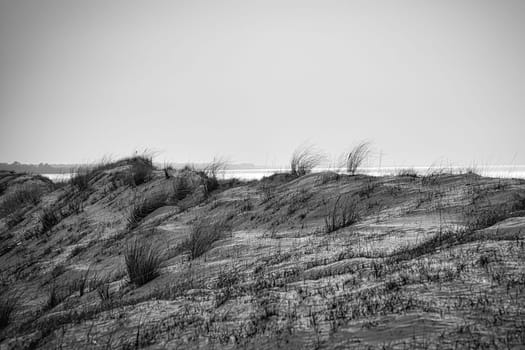 high dune in black and white at darss. National Park in Germany. Sand beach, dune and nature. Landscape photography