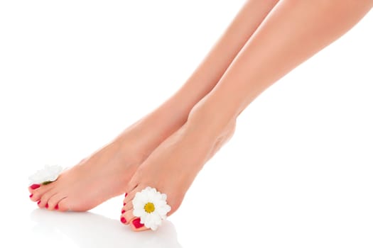 Beautiful female legs with daisy flower isolated on white background.