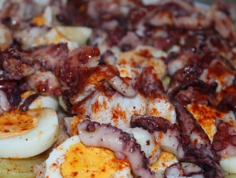 delicious typical octopus dish with potato egg paprika tasty oil