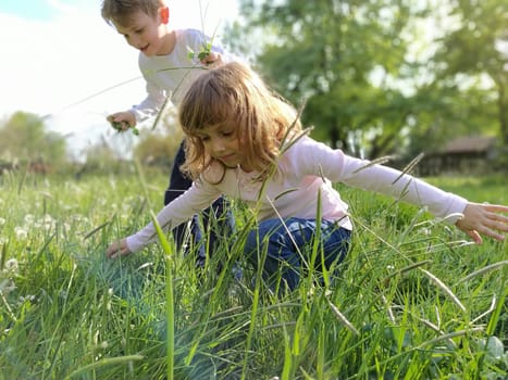Boy and girl are playing in the meadow. Children lean in the green grass and touch it with their hands. Brother and sister walk in nature.