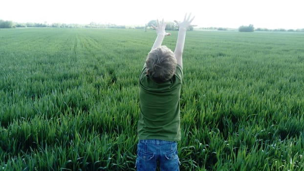 A boy runs through a wheat field and holds out his hands to the sky. The child is dressed in denim blue trousers and a green T-shirt. Grass to the horizon. The concept of harmony with nature.