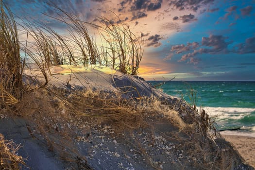 Dune landscape Baltic Sea Zingst in HDR look. Sea and beach in the background. Landscape photo