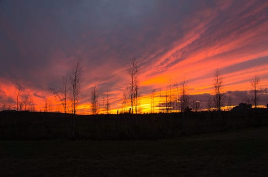 Sunset with burning sky behind the trees. strong warm colors
