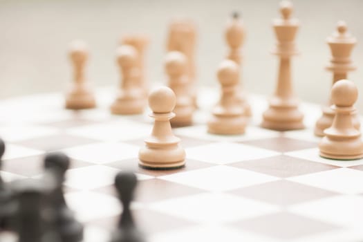 The white pawn chess piece is starting the game on chessboard.