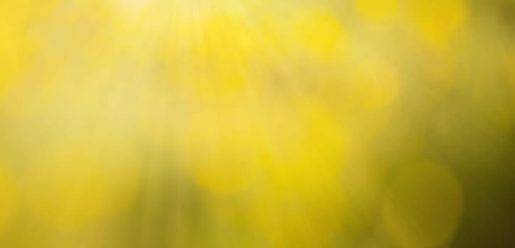 Sunlight is shining through the grass, meadow with sunbeams and fairy lights, spring and summer season