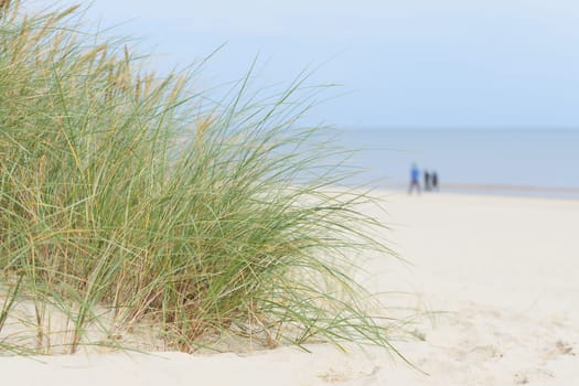 Beach on the coast of Swinoujscie on Baltic Sea coast. In the background blurry walkers.