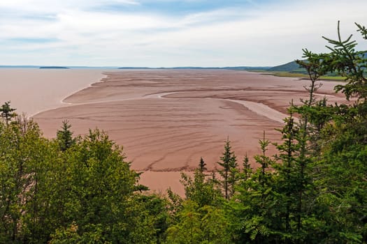 Coastal Mudflats on the Bay of Fundy in the The Rocks Provincial Park in New Brunswick.
