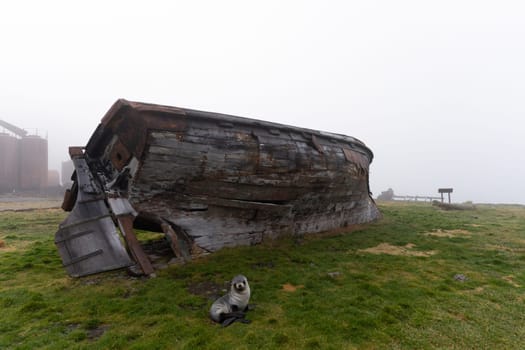 Old, rusty whale oil tanks and processing facilities at a now abandoned whaling station in Grytviken -on the island of South Georgia.