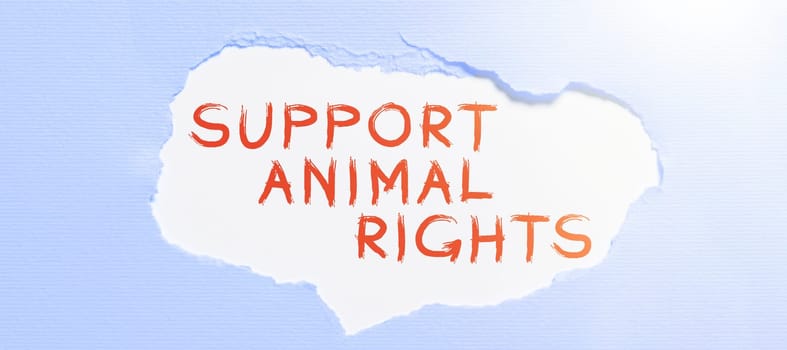 Inspiration showing sign Support Animal Rights, Business overview protection and proper treatment of all animals
