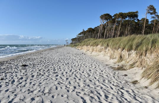 The western beach at Darß