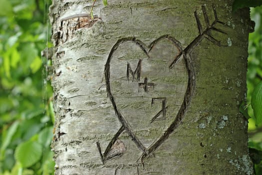 M loves J