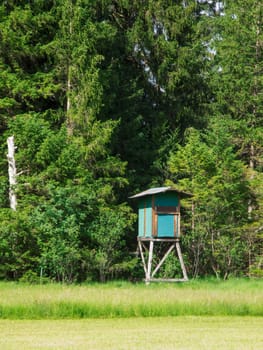 High stand at the edge of a pasture between conifers in the Allgäu in sunshine.