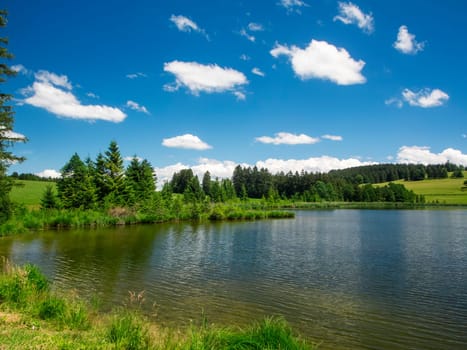 Landscape view at the Kogel pond in the Allgäu / Bavaria in summer in front of a blue sky with white clouds.