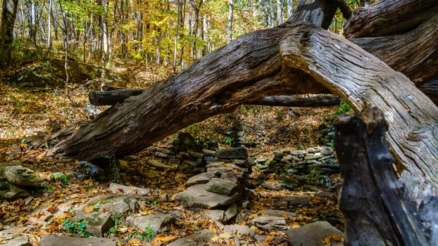Remnants of stone fence on the Rattlesnake Lodge trail near Blue Ridge Parkway in North Carolina