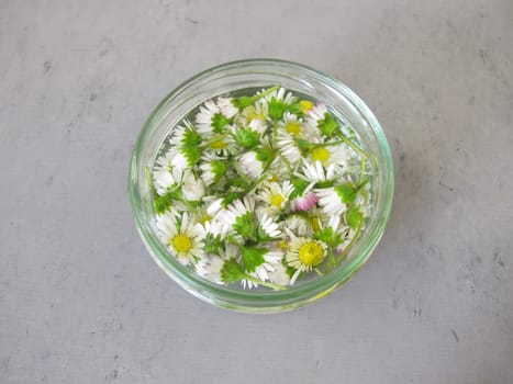 Homemade daisy toner in a jar