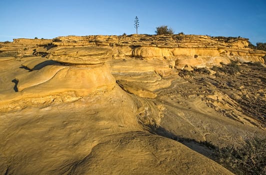 Sunrise light bathing the eroded surface at Cama de Vaca cliffs, Faro District, Lagos, Portugal