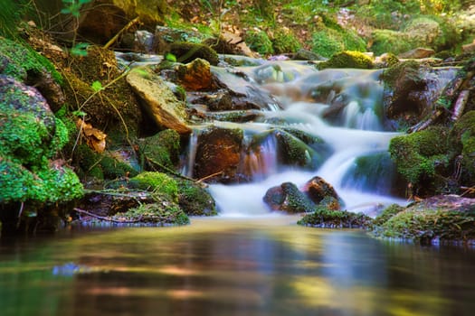 A forest stream captured with a long exposure. Landscape photo